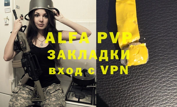 молекула духа Бородино