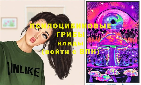 прущие крисы Богородск
