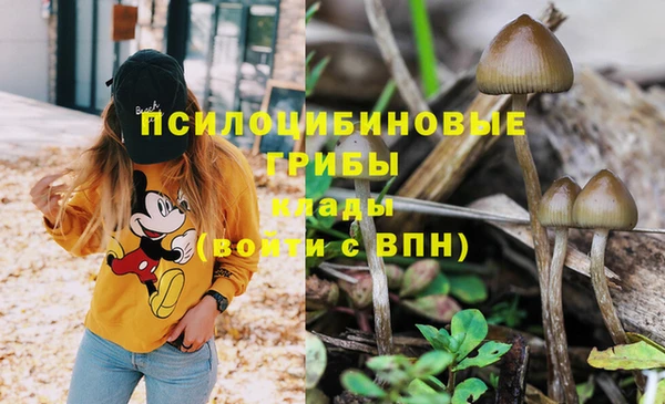 соль ск Богородицк