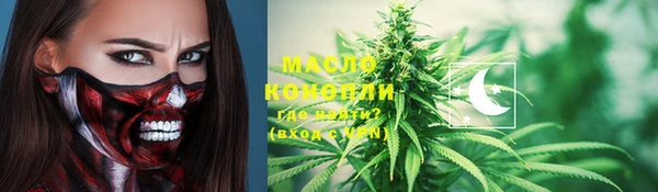 метадон Богданович