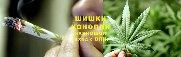 метадон Богданович