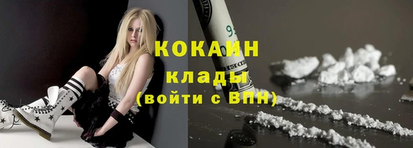 молекула духа Бородино