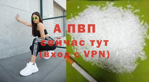 метадон Богданович