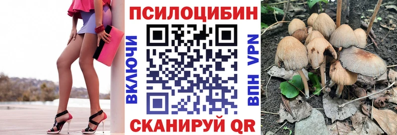 Галлюциногенные грибы мухоморы  что такое   Балашов 